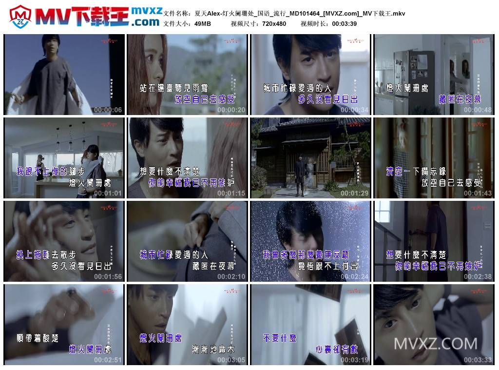 夏天Alex-灯火阑珊处_国语_流行_MD101464